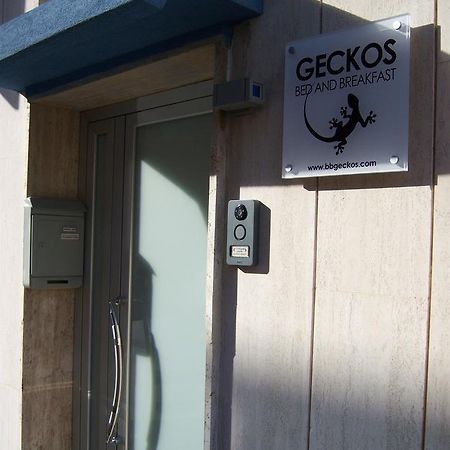 Bed And Breakfast Geckos บรินดิซิ ภายนอก รูปภาพ